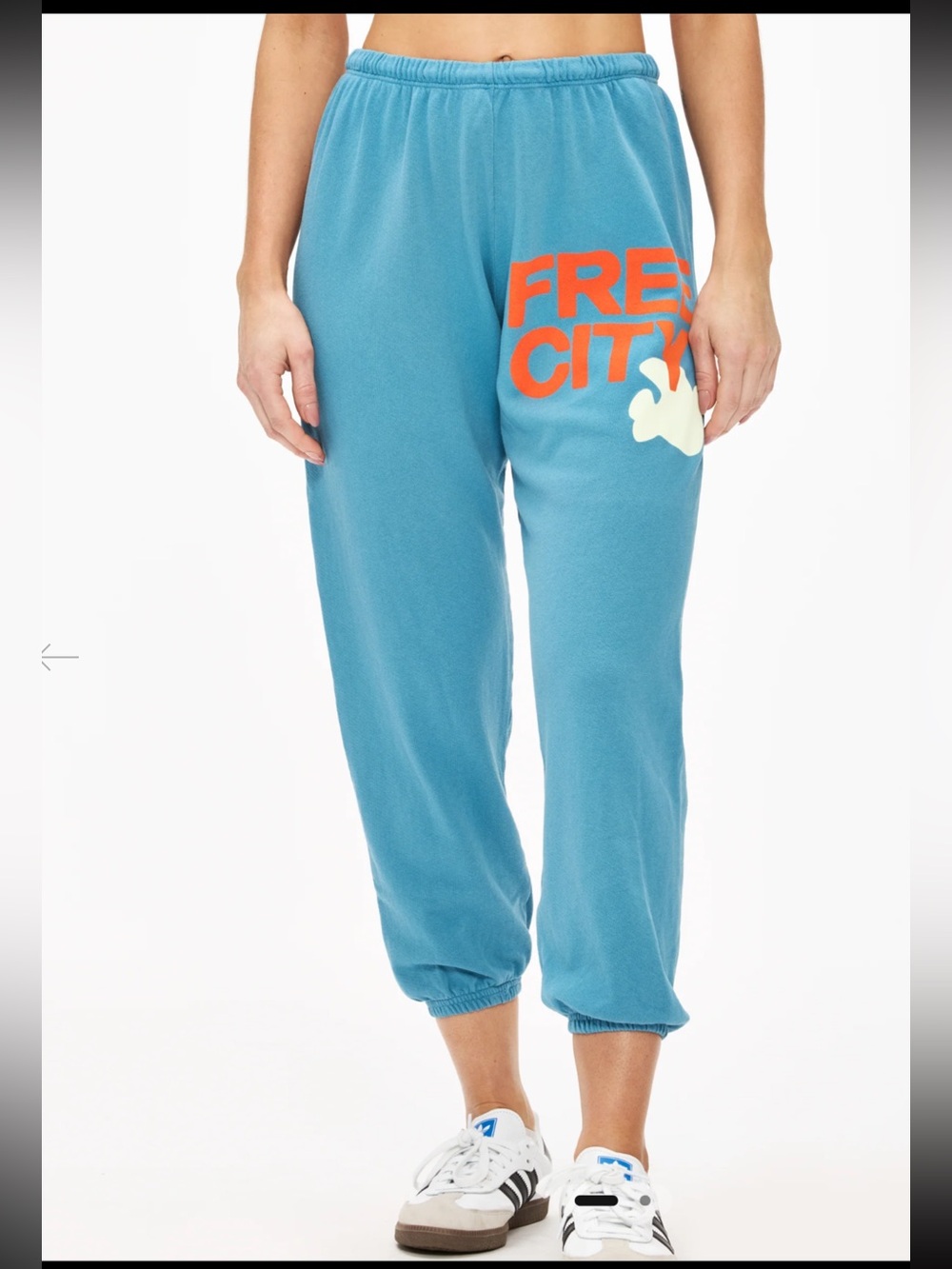 Freecity Large NWOT sweatpants in BlueShroom size S